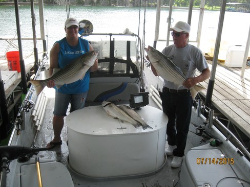 Nice Striped Bass